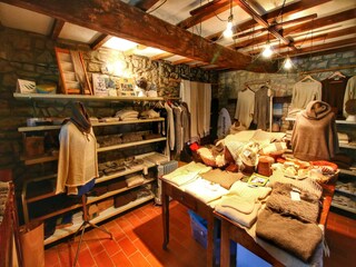 Fattoria Umbertide  37