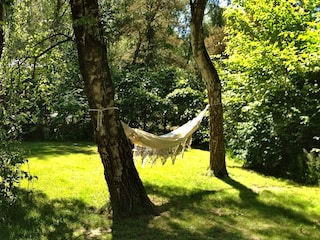Holiday house Louns  14