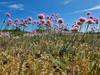 Ferienhaus Klitmøller  34