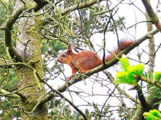 Casa per le vacanze Nørre Nebel  32