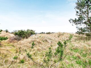 Vakantiehuis Tversted  9