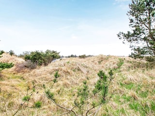 Ferienhaus Tversted  8