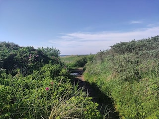 Maison de vacances Tversted  16