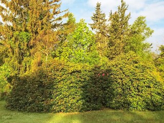 Casa per le vacanze Liseleje  13