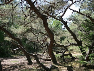 Holiday house Liseleje  18