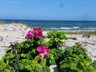 Casa per le vacanze Liseleje  40