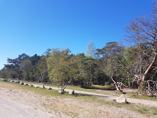 Casa per le vacanze Liseleje  38