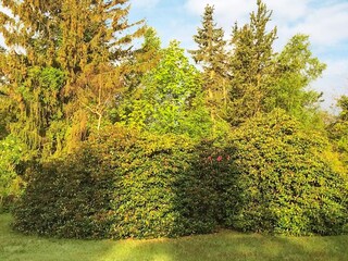 Casa per le vacanze Liseleje  44