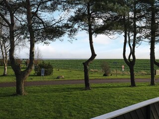 Holiday house Humble  29