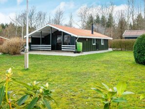 Holiday house 4 Personen Ferienhaus in Toftlund - Arrild - image1