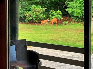 Casa per le vacanze Arrild  6