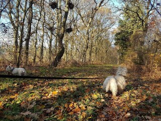 Holiday house Arrild  36