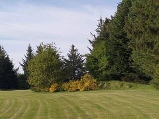 Vakantiehuis Arrild  22
