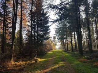 Holiday house Arrild  33