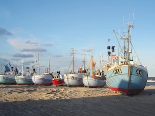 Ferienhaus Thorup Strand  31