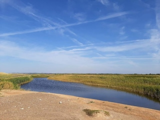 Ferienhaus Thorup Strand  38