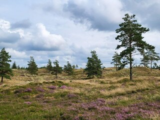 Casa de vacaciones Thorup Strand  37