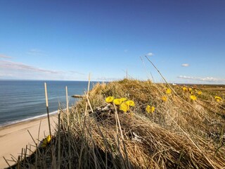 Casa per le vacanze Ferring  45