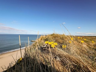 Vakantiehuis Ferring  45