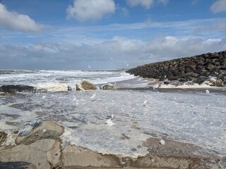 Holiday house Ferring  17