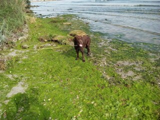 Holiday house Egense  29