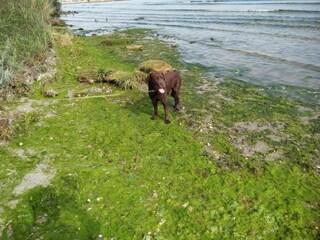 Holiday house Egense  23