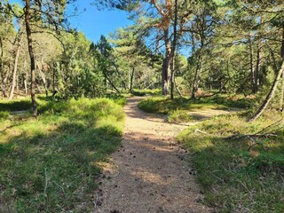 Vakantiehuis Als  15