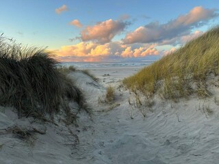 Casa per le vacanze Blokhus Registrazione all'aperto 5