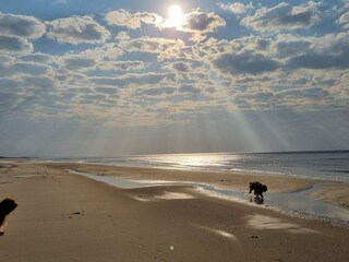 Casa de vacaciones Blokhus  28