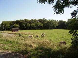Apartment Aakirkeby  11