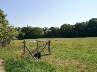 Appartamento Aakirkeby  14