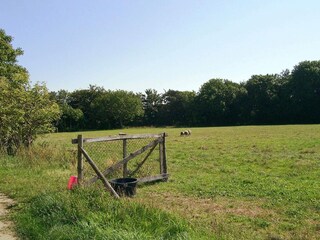 Appartement Aakirkeby  14