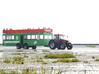 Casa per le vacanze Mandø  9