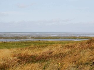 Maison de vacances Mandø  30