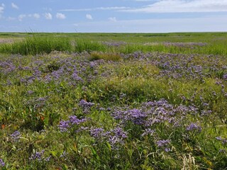 Vakantiehuis Mandø  34