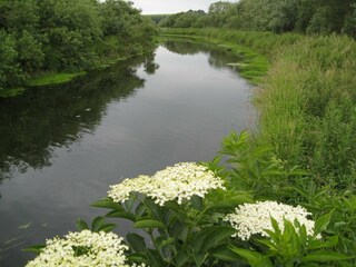 Ferienhaus Kolind  3