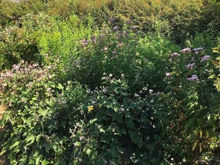 Casa per le vacanze Südwestseeland Registrazione all'aperto 8