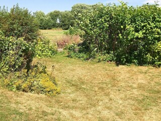 Holiday house Südwestseeland Outdoor Recording 10