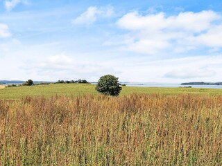 Apartment Millinge  10