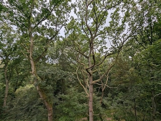 Maison de vacances Als  18