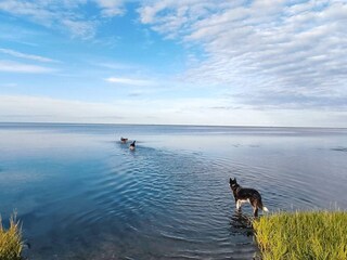 Ferienhaus Ørsted  35