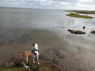 Ferienhaus Ørsted  14