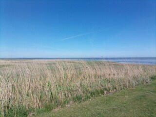 Casa de vacaciones Ørsted  14