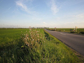 Cottage Saint-Aubin-sur-Mer Umgebung 38