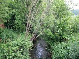 Holiday cottage Saint-Aubin-sur-Mer Environment 39