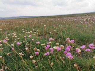 Casa per le vacanze Gjellerodde  24