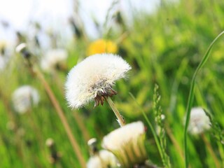 Vakantiehuis Sønderballe  28