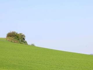 Maison de vacances Sønderballe  6