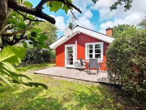 Maison de vacances pour 4 a Hemmet-By Traum - Havre de Bork - image1