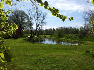 Gartenteich mit Liegewiese
